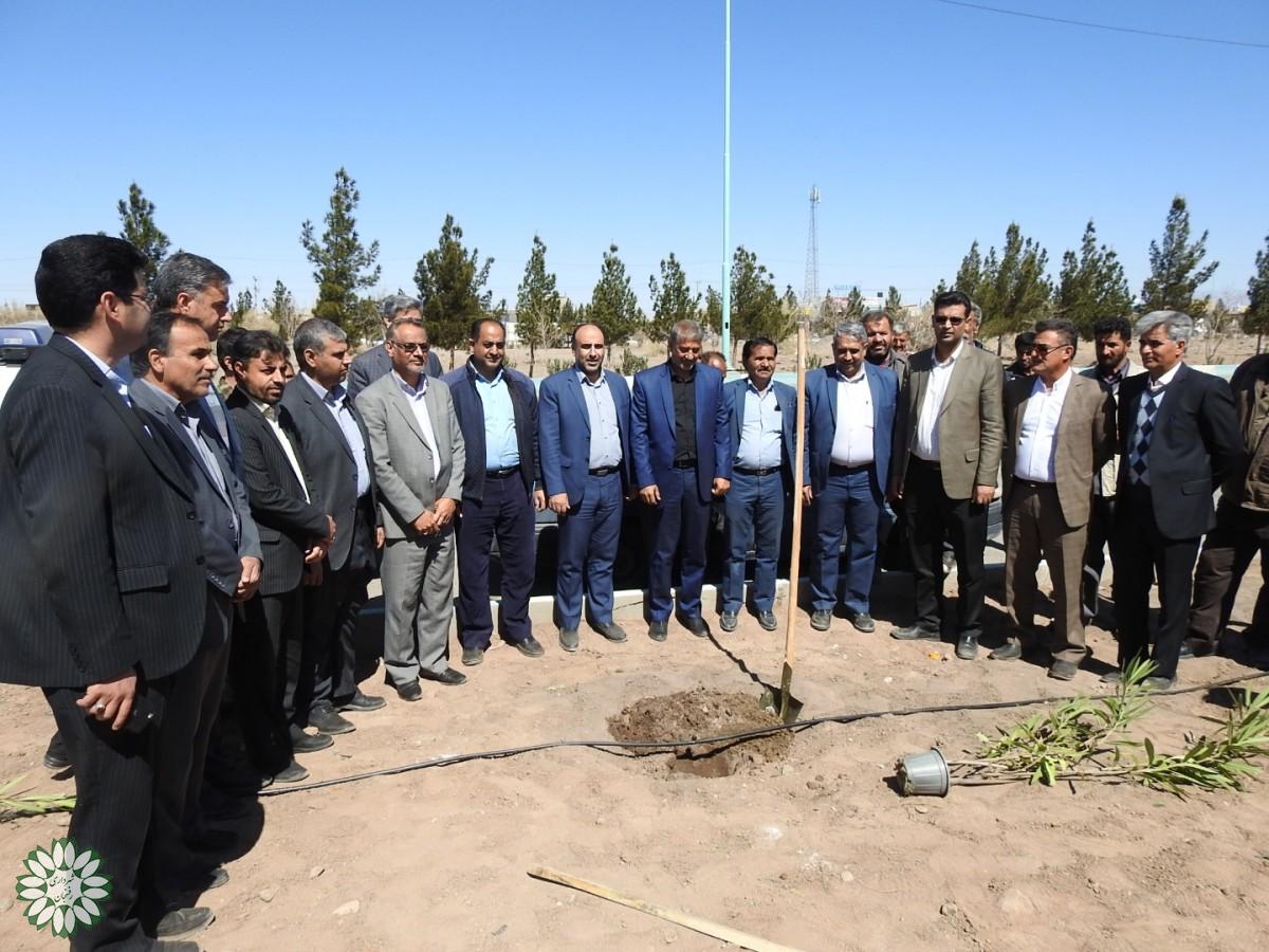آیین ملی روز درختکاری در رفسنجان برگزارشد