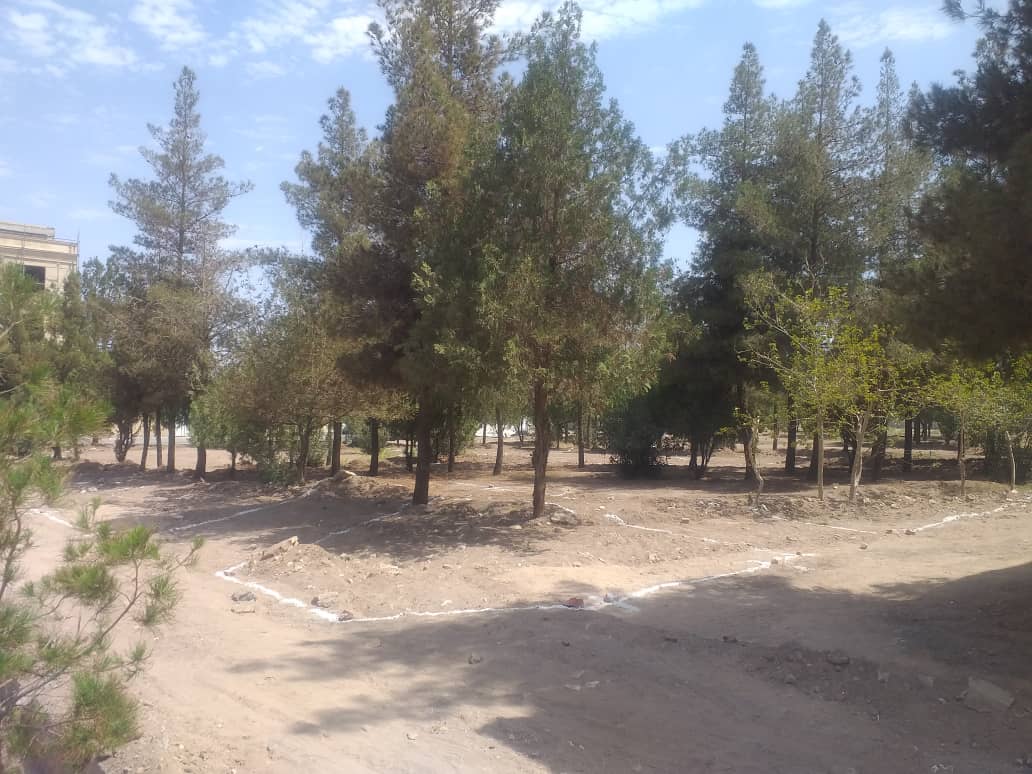آغاز احداث پارک محله‌ای بلوار شهید نوری توسط شهرداری رفسنجان