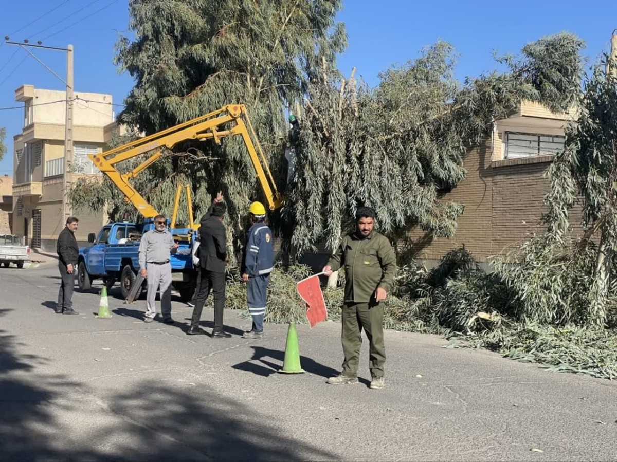 اجرای عملیات سربرداری درختان سطح شهر رفسنجان